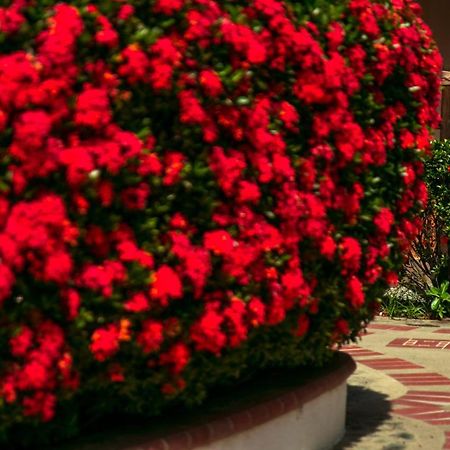 Hosteria Tonusco Campestre Santa Fe de Antioquia Luaran gambar